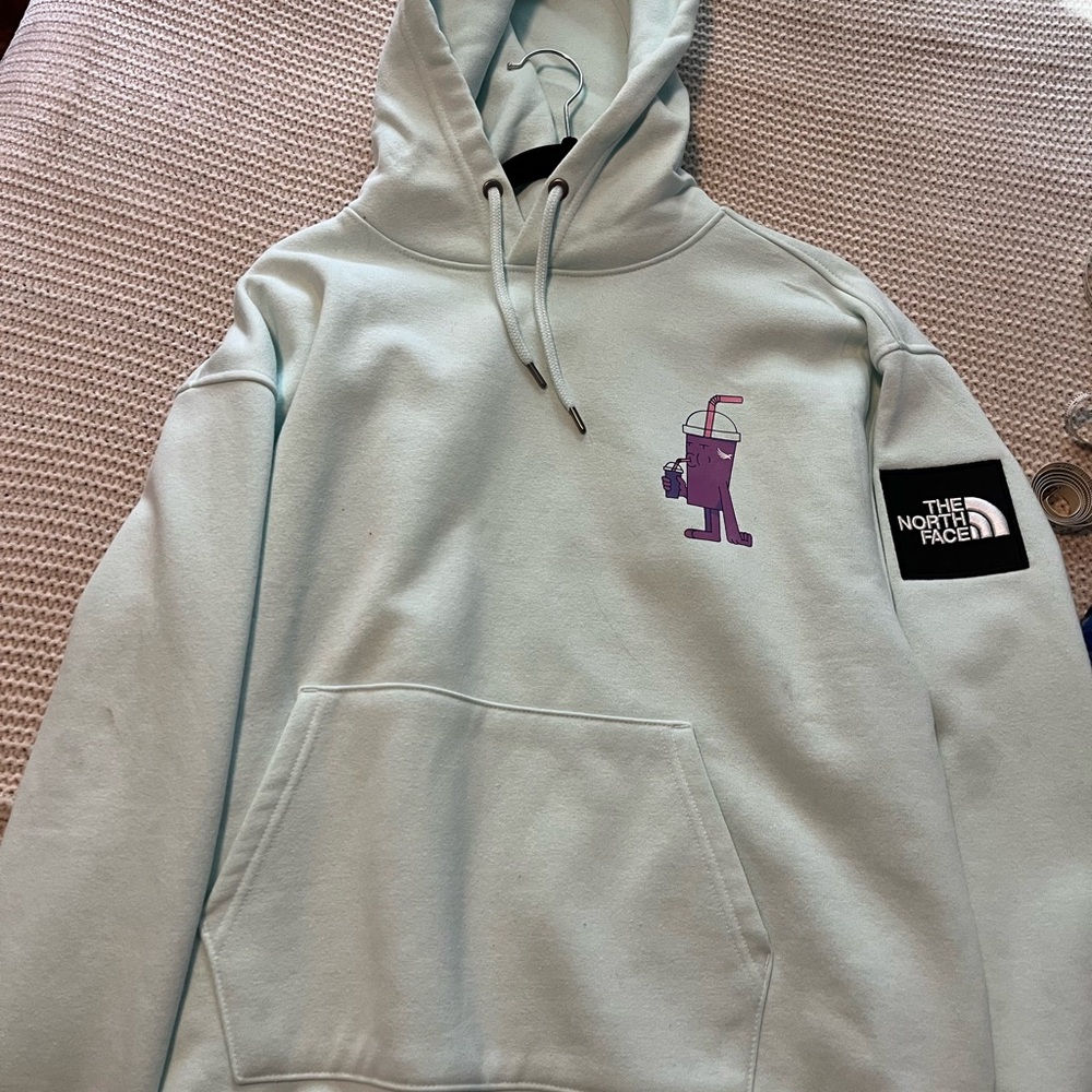The North Face Men's Mint Green Hoodie